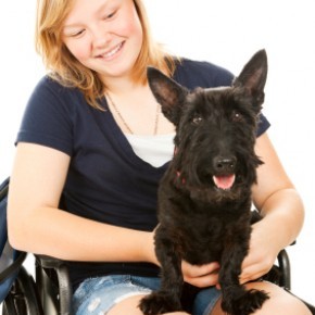 Frau im Rollstuhl mit Hund 